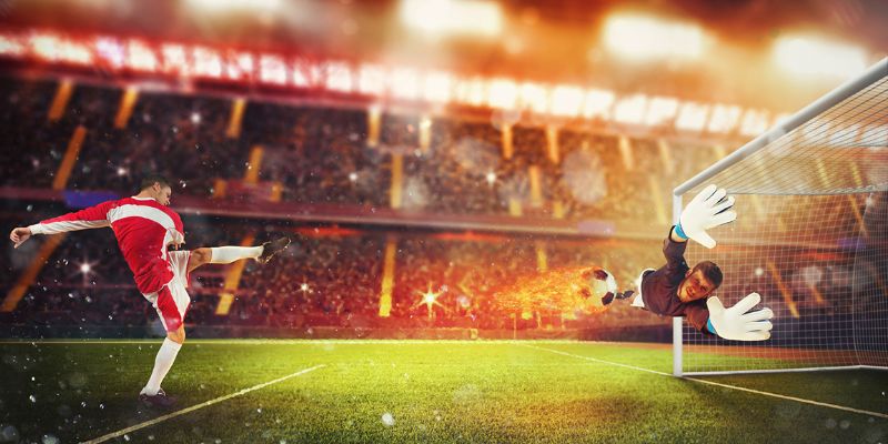 Mẹo hiệu quả từ chuyên gia